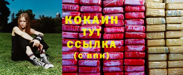 прущие крисы Елабуга
