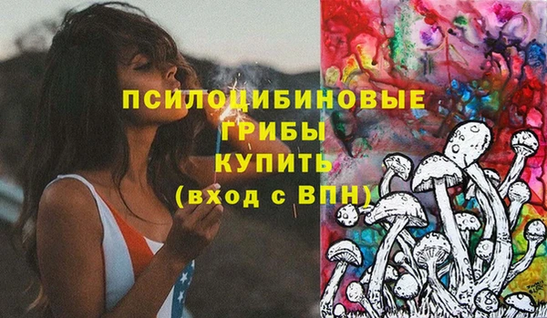 прущие крисы Елабуга