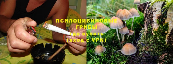 кристаллы Ельня