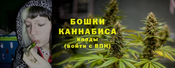 кристаллы Ельня