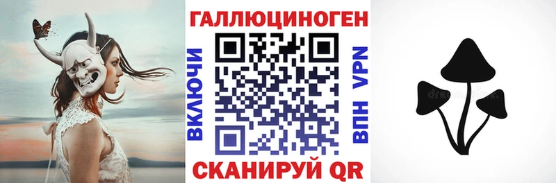 Купить где  Красноуральск  Галлюциногенные грибы GOLDEN TEACHER 